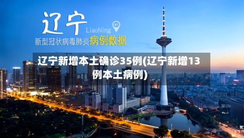 辽宁新增本土确诊35例(辽宁新增13例本土病例)-第2张图片