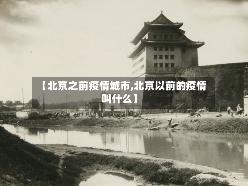 【北京之前疫情城市,北京以前的疫情叫什么】-第3张图片