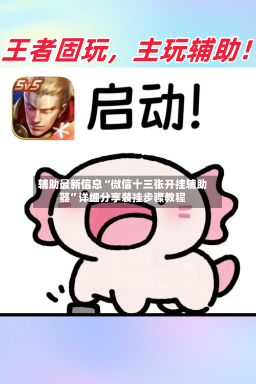 辅助最新信息“微信十三张开挂辅助器”详细分享装挂步骤教程-第2张图片