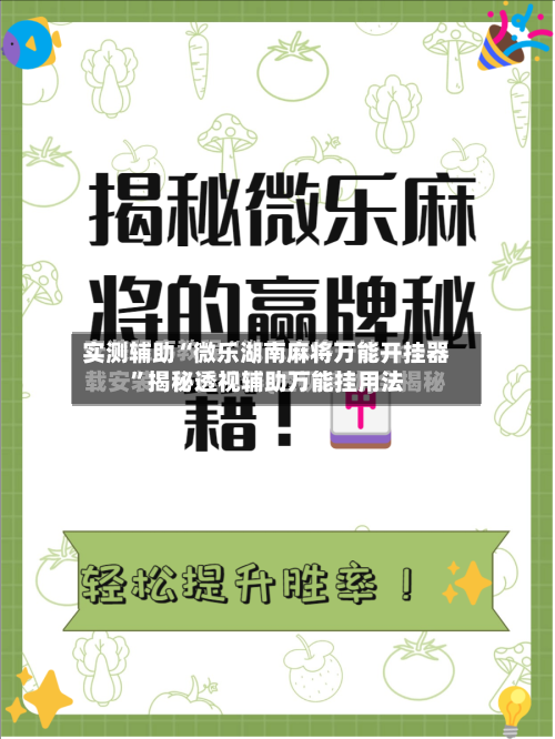 实测辅助“微乐湖南麻将万能开挂器”揭秘透视辅助万能挂用法-第3张图片