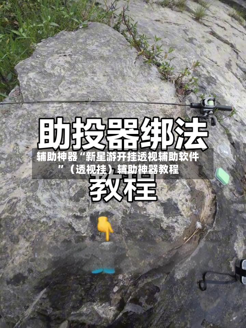 辅助神器“新星游开挂透视辅助软件”（透视挂）辅助神器教程-第2张图片