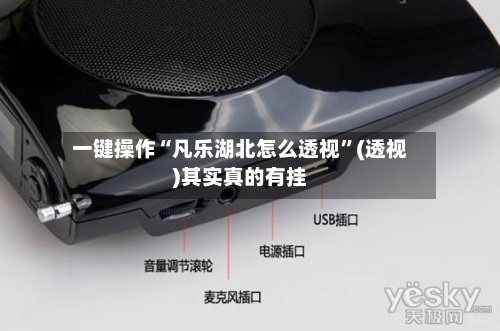 一键操作“凡乐湖北怎么透视”(透视)其实真的有挂-第3张图片