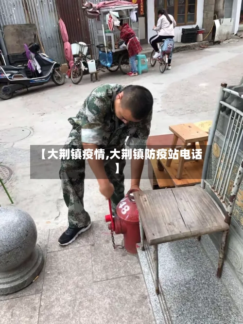【大荆镇疫情,大荆镇防疫站电话】-第3张图片