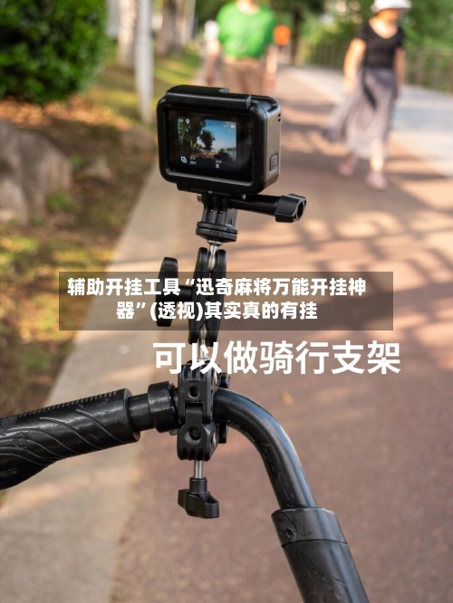 辅助开挂工具“迅奇麻将万能开挂神器”(透视)其实真的有挂-第3张图片