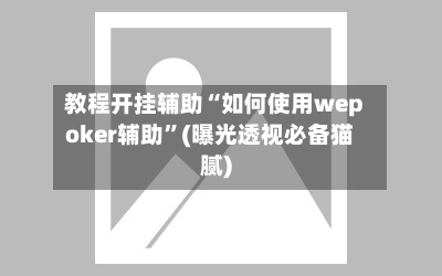 教程开挂辅助“如何使用wepoker辅助	”(曝光透视必备猫腻)-第2张图片