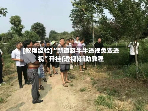 [教程经验]“新道游牛牛透视免费透视”开挂(透视)辅助教程-第2张图片