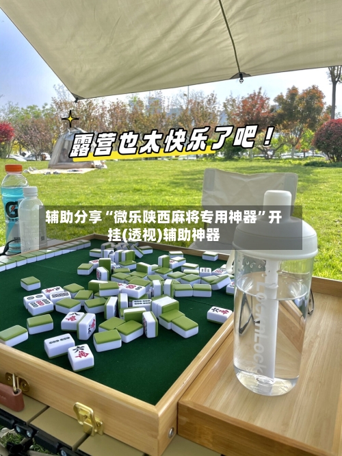 辅助分享“微乐陕西麻将专用神器”开挂(透视)辅助神器-第3张图片