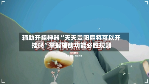 辅助开挂神器“天天贵阳麻将可以开挂吗”掌握辅助功能必胜规则