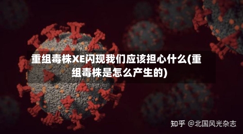 重组毒株XE闪现我们应该担心什么(重组毒株是怎么产生的)-第3张图片