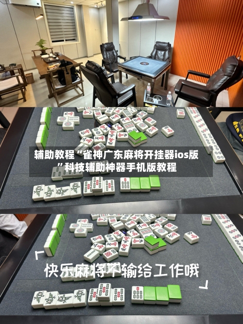 辅助教程“雀神广东麻将开挂器ios版”科技辅助神器手机版教程-第2张图片