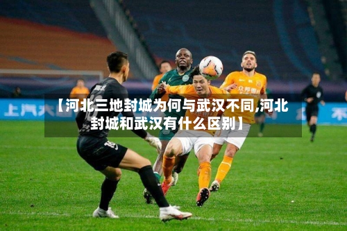 【河北三地封城为何与武汉不同,河北封城和武汉有什么区别】