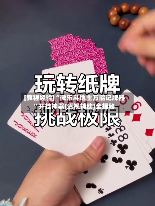 [教程经验]“微乐斗地主万能记牌器”开挂神器{透视辅助}全揭秘-第3张图片