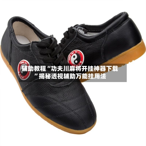 辅助教程“功夫川麻将开挂神器下载”揭秘透视辅助万能挂用法-第3张图片