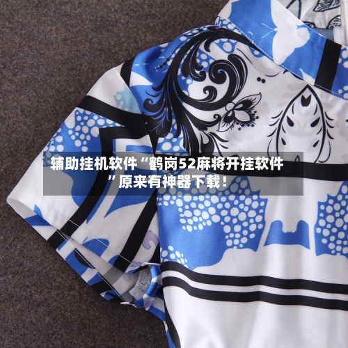 辅助挂机软件“鹤岗52麻将开挂软件”原来有神器下载！-第2张图片