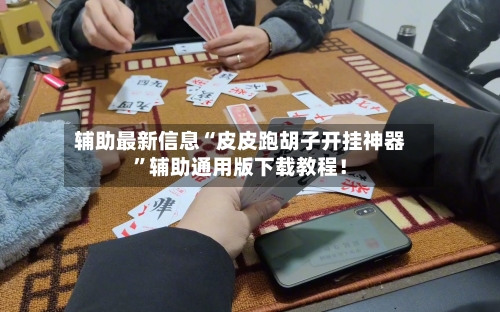 辅助最新信息“皮皮跑胡子开挂神器”辅助通用版下载教程！-第2张图片