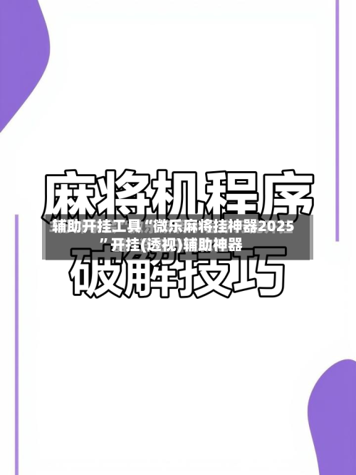 辅助开挂工具“微乐麻将挂神器2025	”开挂(透视)辅助神器-第2张图片
