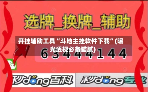 开挂辅助工具“斗地主挂软件下载	”(曝光透视必备猫腻)-第2张图片