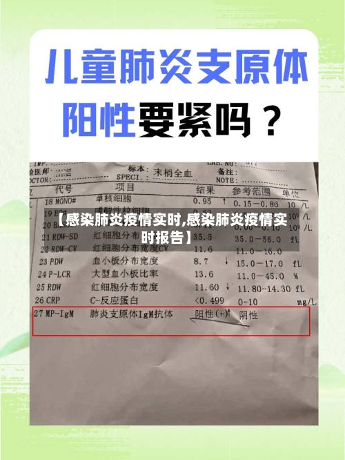 【感染肺炎疫情实时,感染肺炎疫情实时报告】-第2张图片