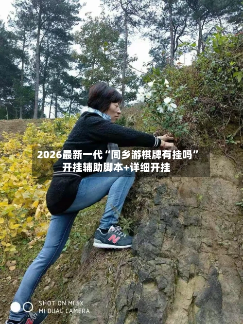 2026最新一代“同乡游棋牌有挂吗”开挂辅助脚本+详细开挂-第2张图片
