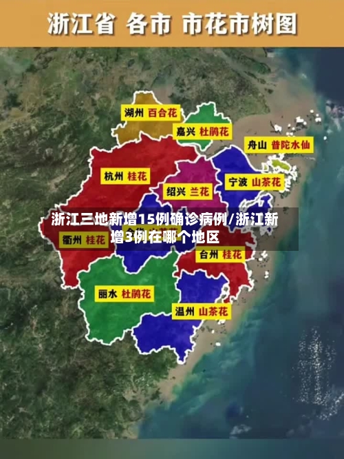 浙江三地新增15例确诊病例/浙江新增3例在哪个地区-第3张图片