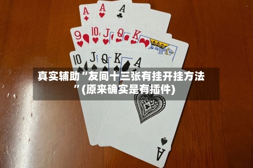 真实辅助“友间十三张有挂开挂方法”(原来确实是有插件)