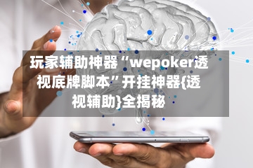 玩家辅助神器“wepoker透视底牌脚本”开挂神器{透视辅助}全揭秘-第3张图片
