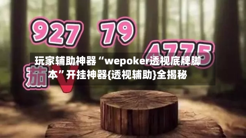 玩家辅助神器“wepoker透视底牌脚本	”开挂神器{透视辅助}全揭秘-第2张图片