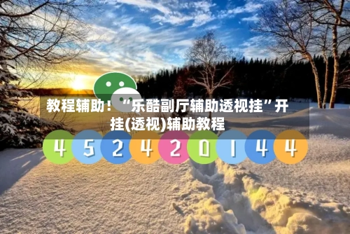 教程辅助！“乐酷副厅辅助透视挂”开挂(透视)辅助教程