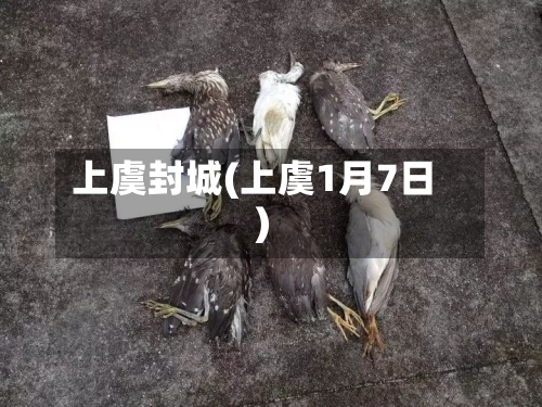 上虞封城(上虞1月7日)