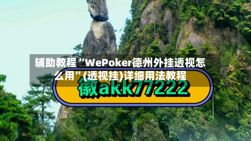 辅助教程“WePoker德州外挂透视怎么用	”(透视挂)详细用法教程-第2张图片