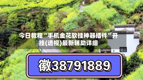 今日教程“手机金花软挂神器插件”开挂(透视)最新辅助详细-第2张图片