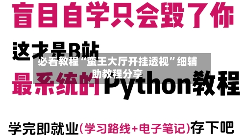 必看教程“蛮王大厅开挂透视”细辅助教程分享-第3张图片