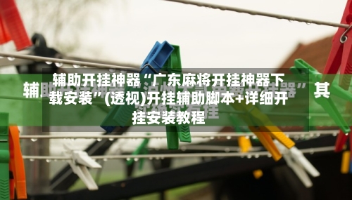 辅助开挂神器“广东麻将开挂神器下载安装”(透视)开挂辅助脚本+详细开挂安装教程-第3张图片