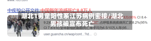湖北1男童阳性系江苏病例密接/湖北男孩被宣布死亡-第2张图片