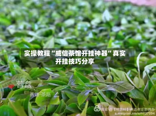 实操教程“威信茶馆开挂神器”真实开挂技巧分享-第3张图片