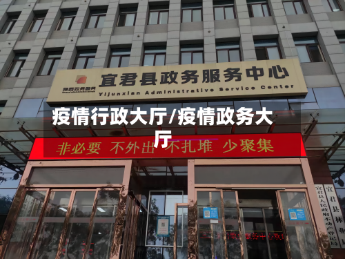 疫情行政大厅/疫情政务大厅-第2张图片