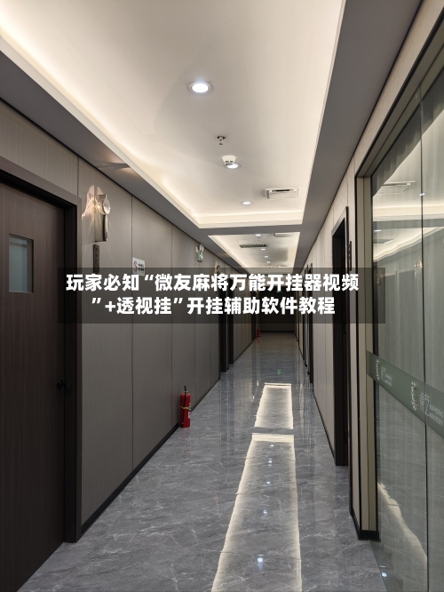 玩家必知“微友麻将万能开挂器视频”+透视挂”开挂辅助软件教程-第2张图片