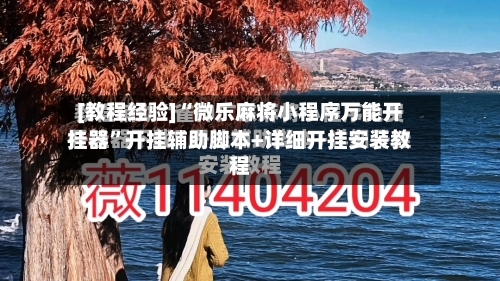 [教程经验]“微乐麻将小程序万能开挂器”开挂辅助脚本+详细开挂安装教程-第2张图片