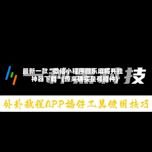 最新一款“微信小程序微乐麻将开挂神器下载	”(原来确实是有插件)-第2张图片