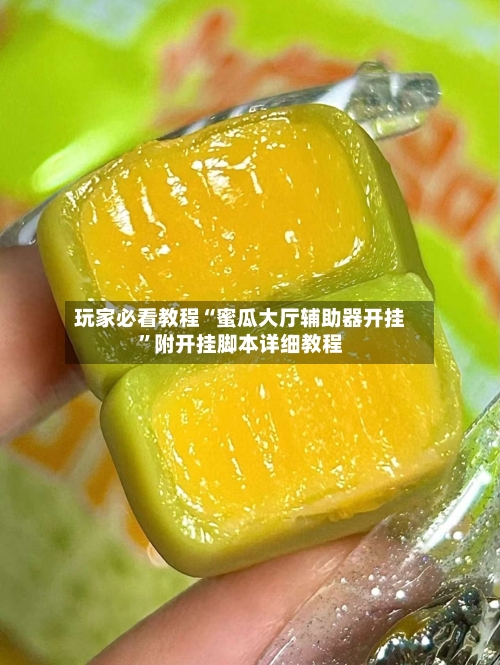 玩家必看教程“蜜瓜大厅辅助器开挂	”附开挂脚本详细教程-第2张图片