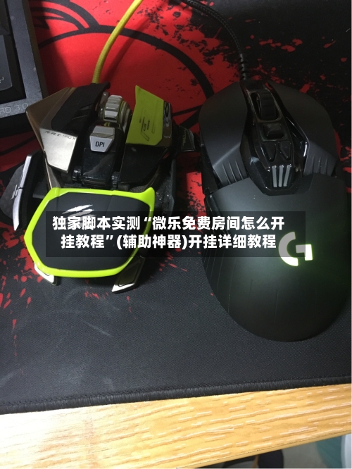 独家脚本实测“微乐免费房间怎么开挂教程”(辅助神器)开挂详细教程-第3张图片