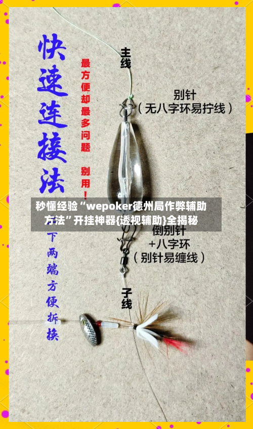 秒懂经验“wepoker德州局作弊辅助方法”开挂神器{透视辅助}全揭秘-第2张图片