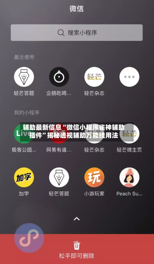 辅助最新信息“微信小程序雀神辅助插件”揭秘透视辅助万能挂用法-第2张图片