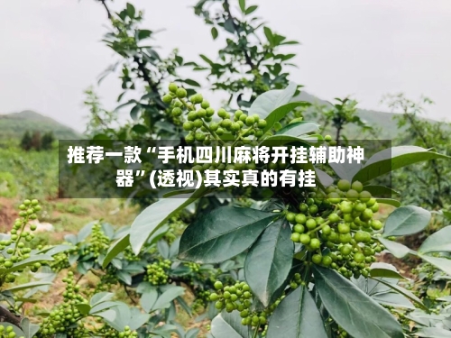 推荐一款“手机四川麻将开挂辅助神器”(透视)其实真的有挂-第3张图片