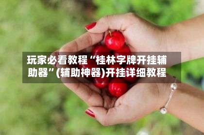 玩家必看教程“桂林字牌开挂辅助器	”(辅助神器)开挂详细教程-第2张图片
