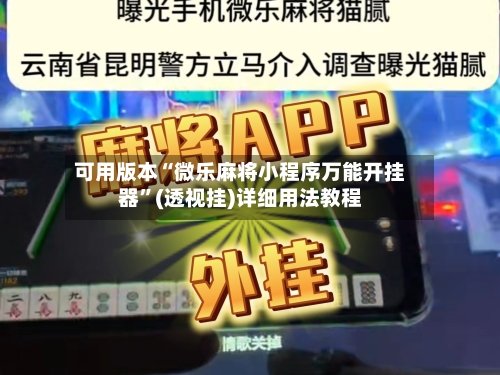可用版本“微乐麻将小程序万能开挂器”(透视挂)详细用法教程-第2张图片