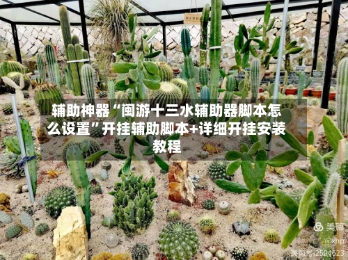 辅助神器“闽游十三水辅助器脚本怎么设置”开挂辅助脚本+详细开挂安装教程-第3张图片
