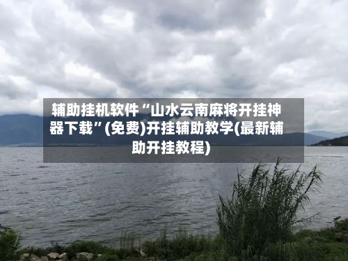 辅助挂机软件“山水云南麻将开挂神器下载”(免费)开挂辅助教学(最新辅助开挂教程)-第3张图片