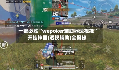 一键必胜“wepoker辅助器透视挂	”开挂神器{透视辅助}全揭秘-第2张图片