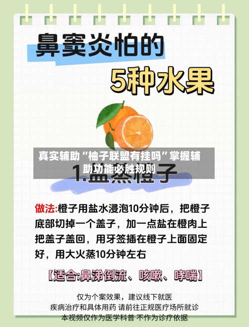 真实辅助“柚子联盟有挂吗”掌握辅助功能必胜规则-第3张图片